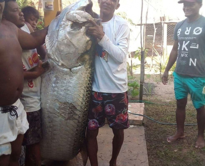 Pescador brasileiro captura peixe de mais de 100 quilos