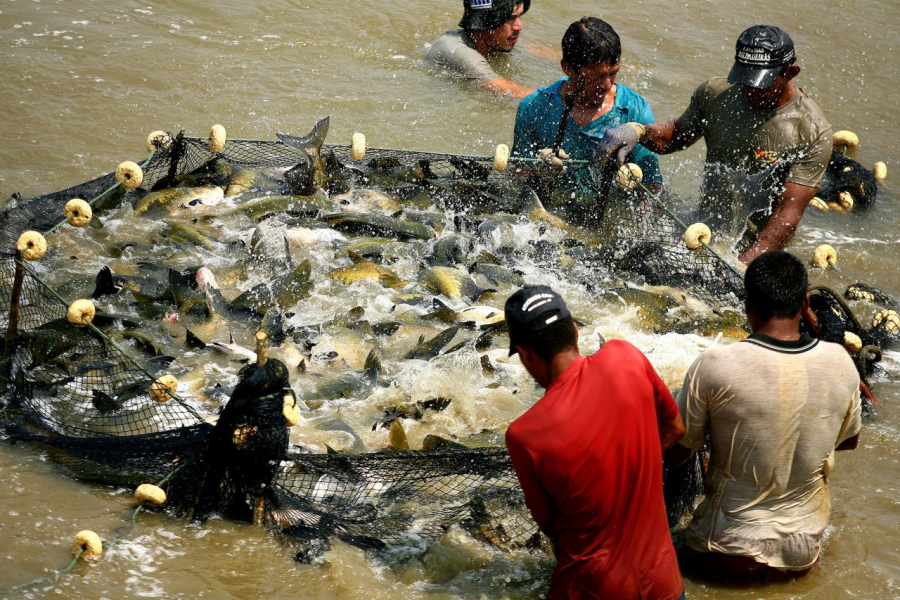 Rondônia amplia participação na Seafood/Boston e fomenta alternativas de negócios no comércio de peixes